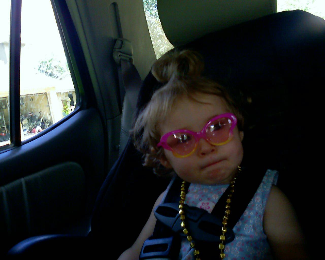 Attitude is inherited, apparently