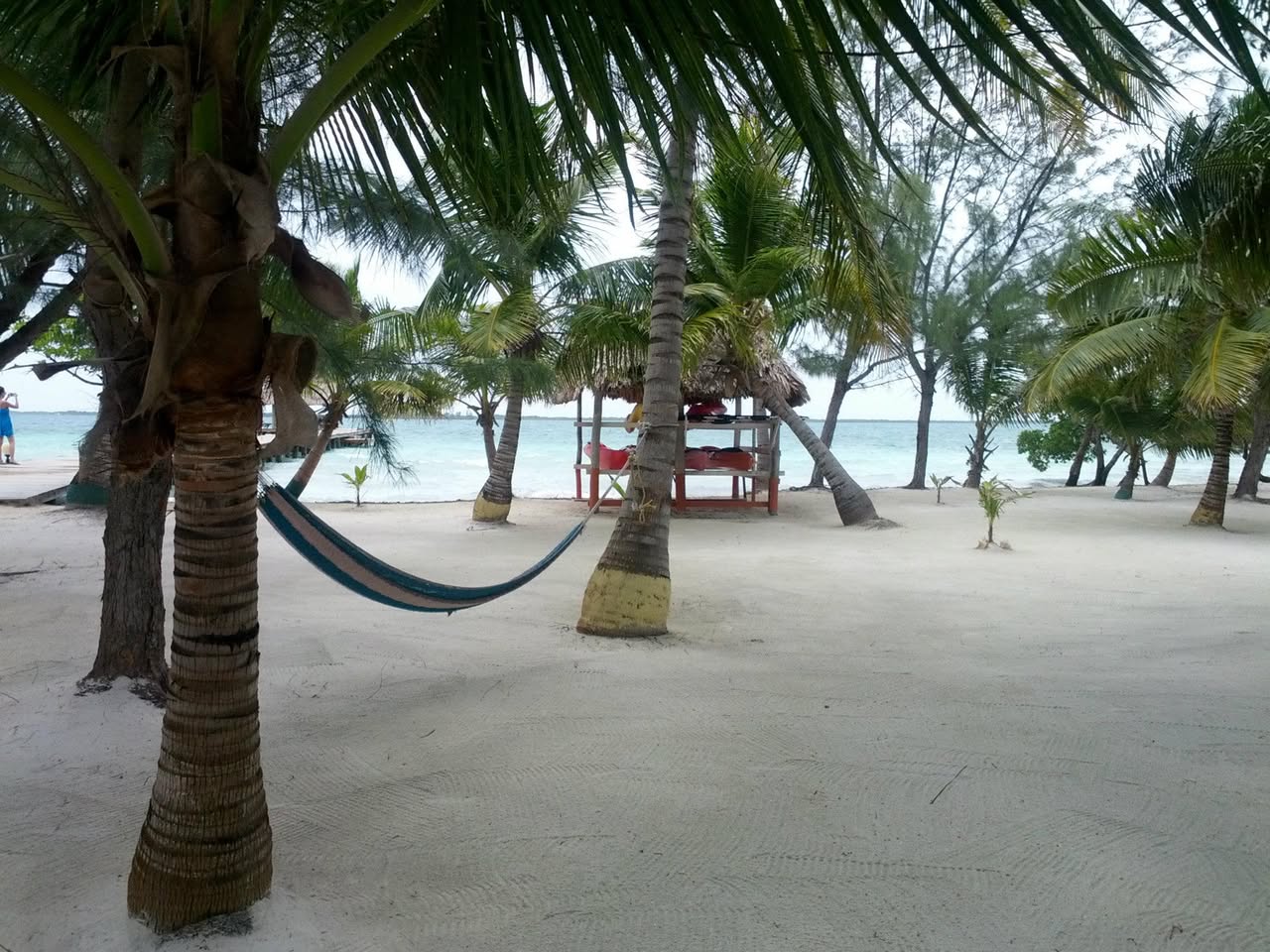 Belize. Hammocks, palm trees, and absolutely nothing on the agenda.